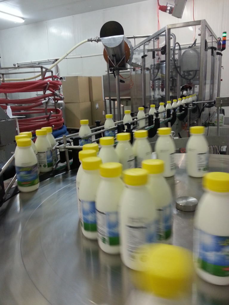 Dairy & Nutritional Drinks