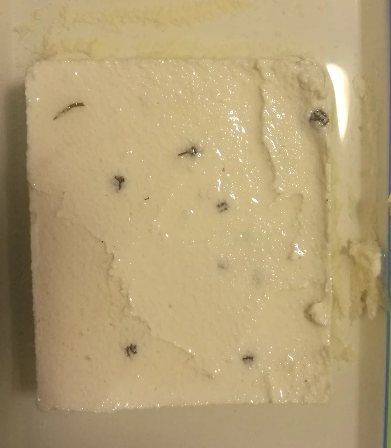 Soft Spreadable Non-Dairy Cheese